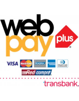 logo webpay